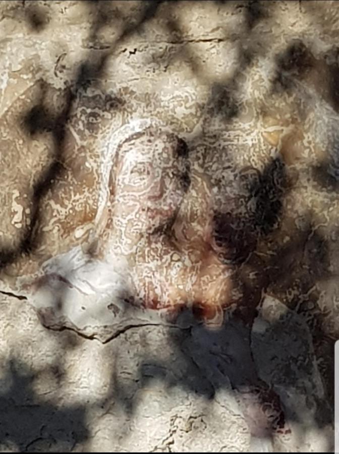 Chambre D'Hote Geiko Cabrieres-d'Aigues Kültér fotó